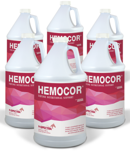 Hemocor - 64oz 6 pack