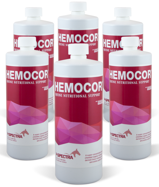 Hemocor - 32 oz 6-pack